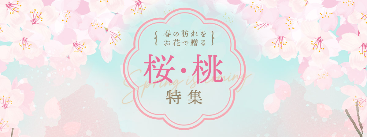 桜と桃の花束・アレンジメント・花鉢ギフト特集