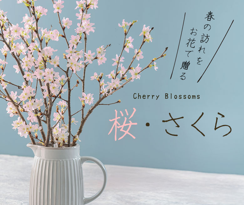 桜の花束・アレンジメント・花鉢ギフト特集