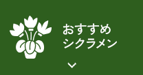 おすすめシクラメン 