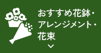 おすすめ花鉢・アレンジメント・花束
