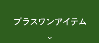 プラスワンアイテム
