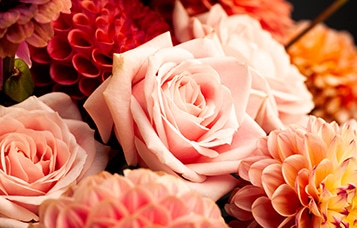 メッセージカード