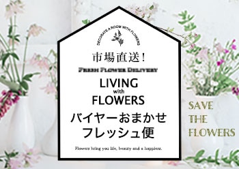 バイヤーおまかせフレッシュ便特集