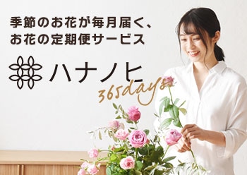 ハナノヒ365days特集