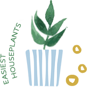 EASIEST HOUSEPLANTS