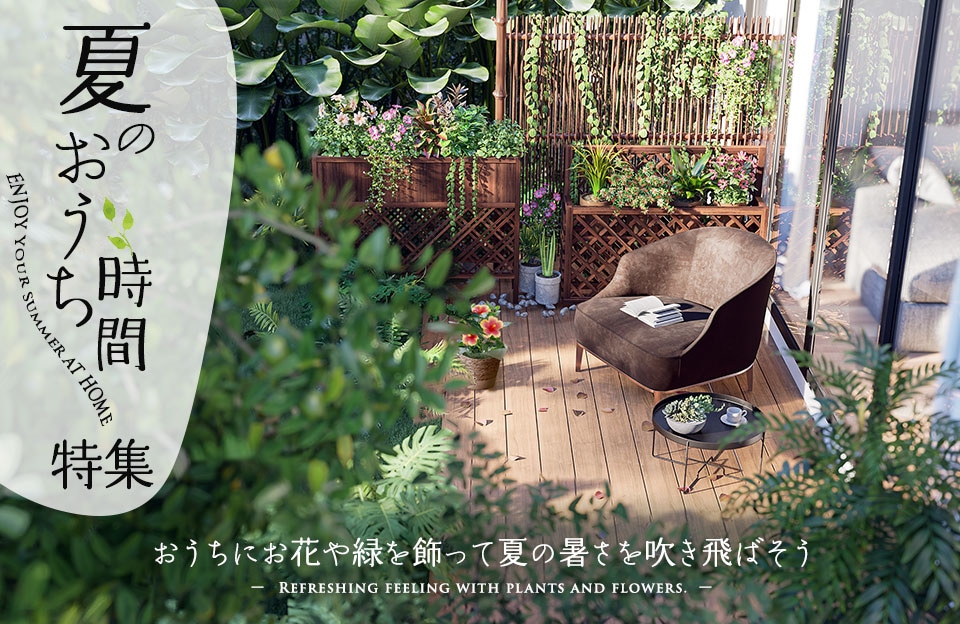 夏のおうち時間
