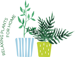RELAXING PLANTS FOR HOME