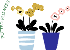 POTTED FLOWERS