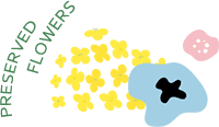 preserved FLOWERS