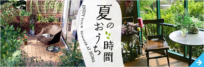 夏のおうち時間特集