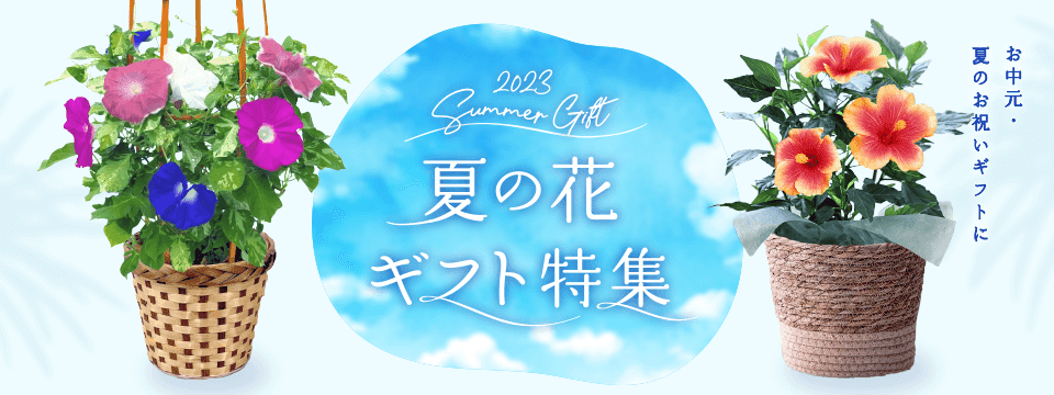 お中元・夏の花ギフト特集2023