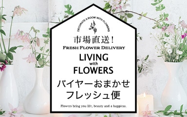 バイヤーおまかせフレッシュ便