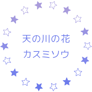 天の川の花カスミソウ