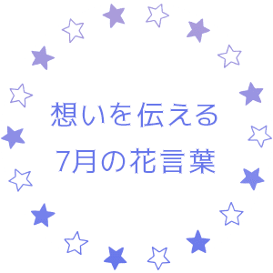 想いを伝える7月の花言葉