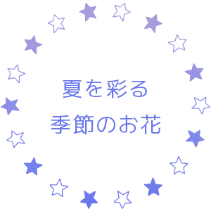 夏を彩る季節のお花
