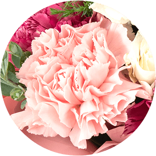 カーネーション