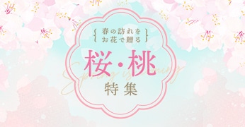 桜・桃特集