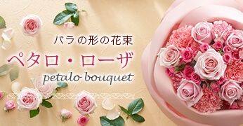 ペタロ・ローザ