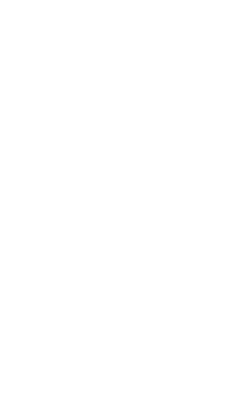 装飾