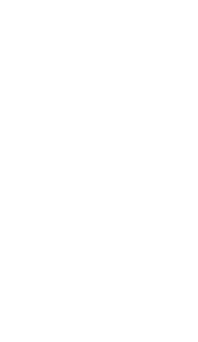 装飾