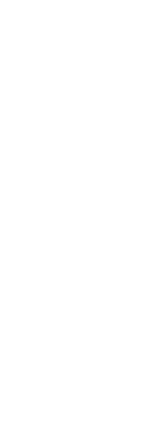 装飾
