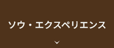 ソウ・エクスペリエンス