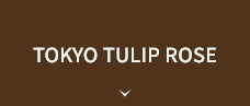 TOKYO TULIP ROSE