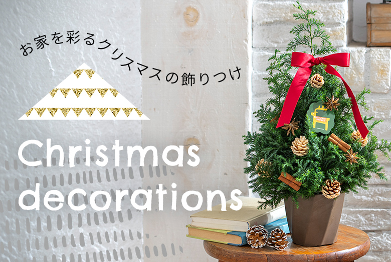 【2025】クリスマスの花 お家を彩るクリスマスの飾りつけ