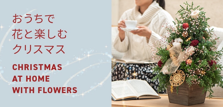 【2023】クリスマスの花 おうちで花と楽しむクリスマス