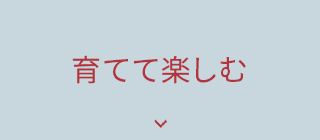 育てて楽しむ