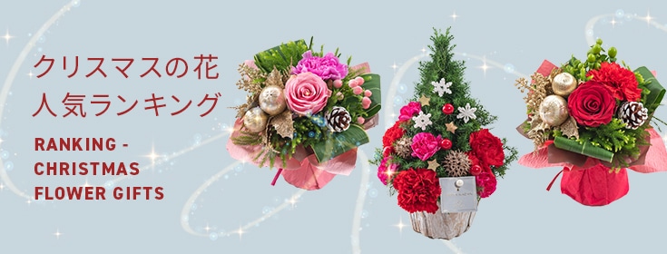 【2023】クリスマスの花 人気ランキング
