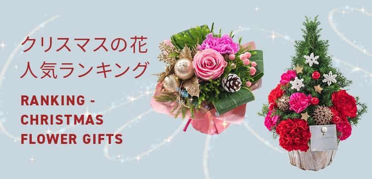 【2023】クリスマスの花 人気ランキング