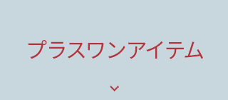 プラスワンアイテム