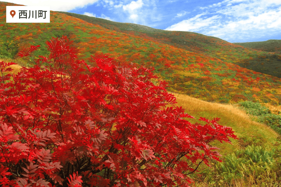 月山にて紅葉鑑賞