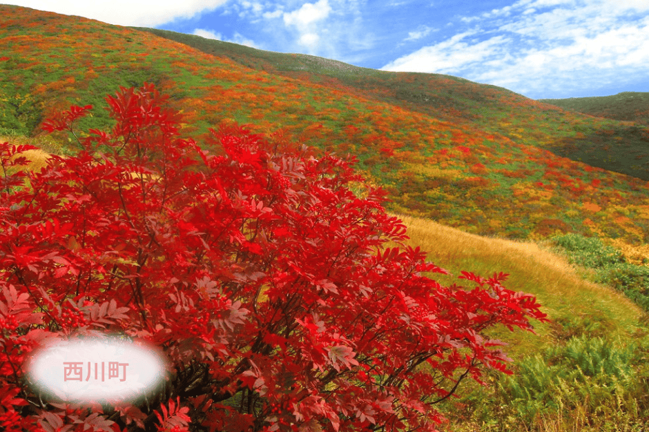 月山にて紅葉鑑賞