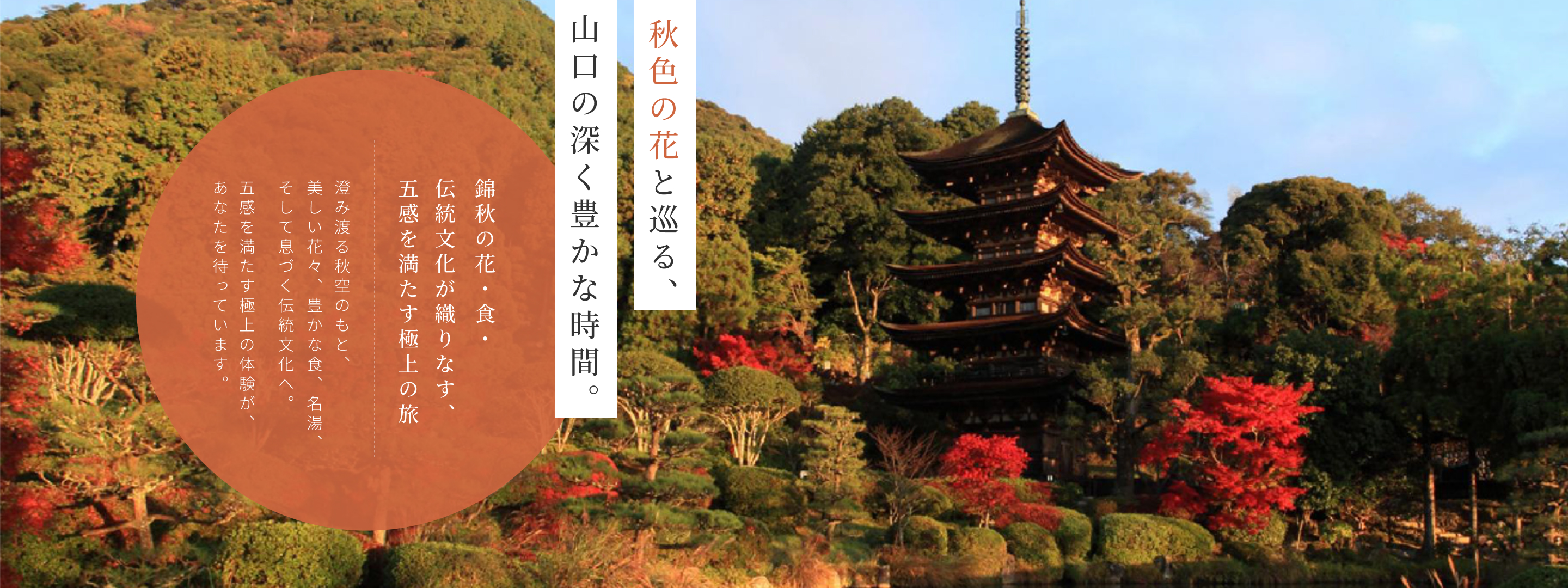 秋色の花と巡る、山口の深く豊かな時間。