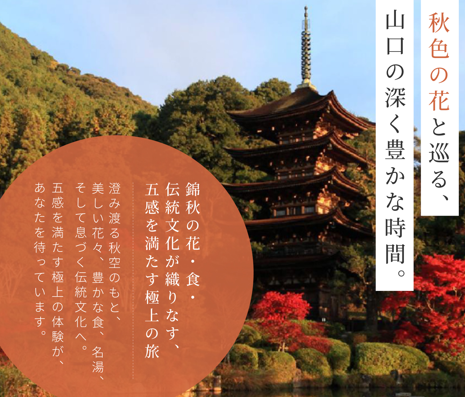 秋色の花と巡る、山口の深く豊かな時間。