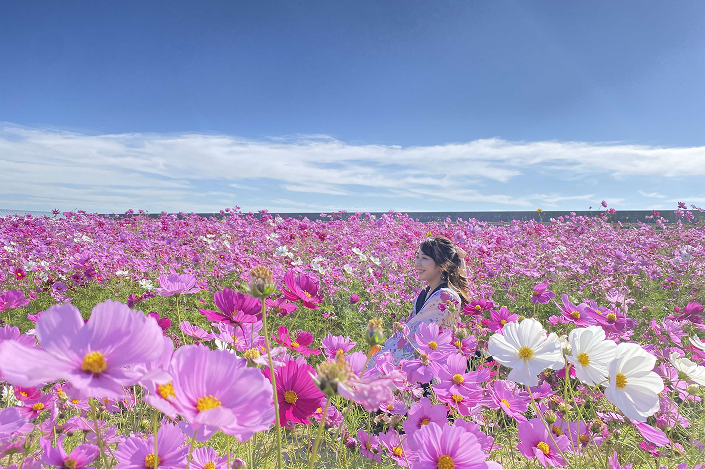 花の海