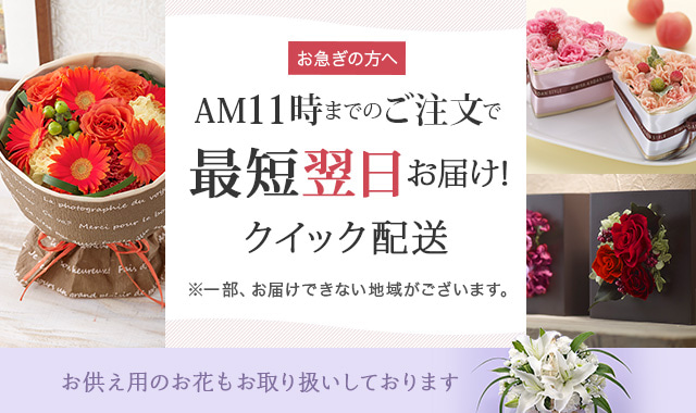 お急ぎの方へ AM11時までのご注文で最短翌日お届け！クイック配送
